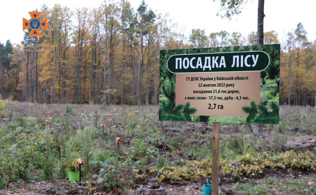 На деокупованій Київщині висадили молодий ліс (ФОТО)
