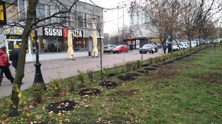 У Києві висадили рекордну кількість квітів (ФОТО)