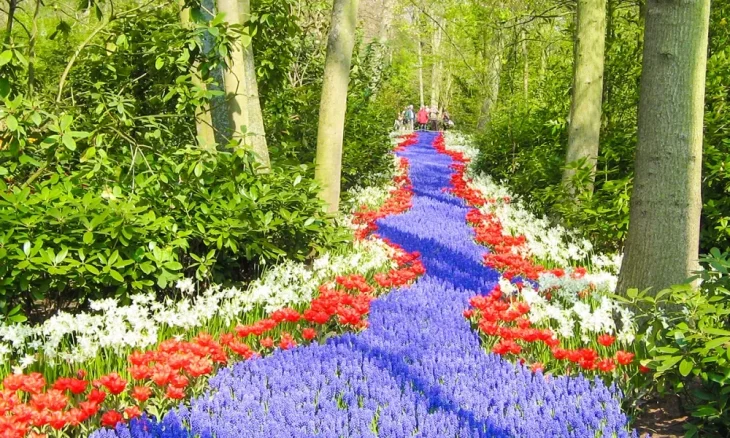 Краса парків та садів у фото
