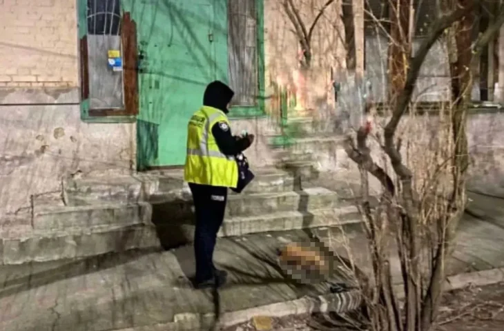 У Києві з вікна викинули собаку: тварина розбилася на смерть