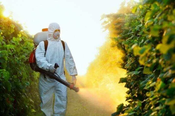 У Київській області анонсували обробку газонів хімікатами