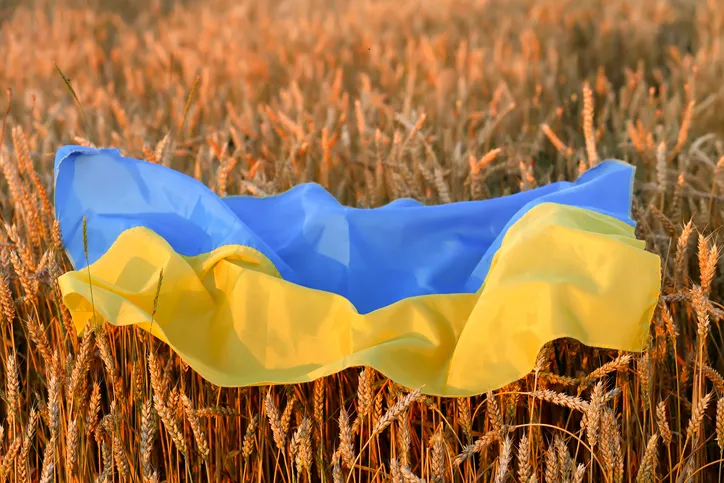 Неймовірна історія кохання захисників України, які одружилися в бункері на “Азовсталі”