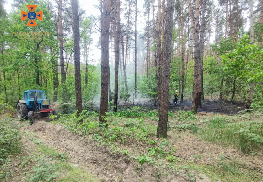 У Київській області сталася лісова пожежа: подробиці