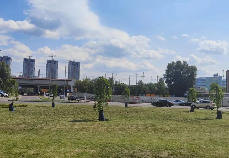 У Києві вперше застосували інноваційний метод поливу дерев: як це працює (ФОТО)