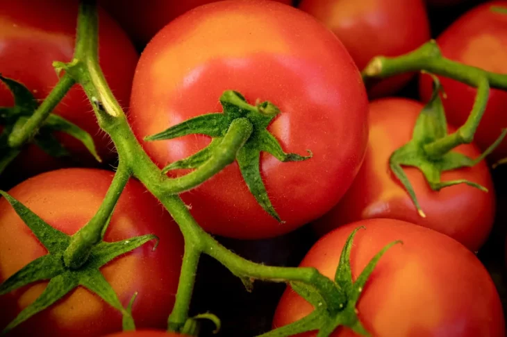 Ярмарки розпочнуть роботу у Києві: де купити недорогі продукти