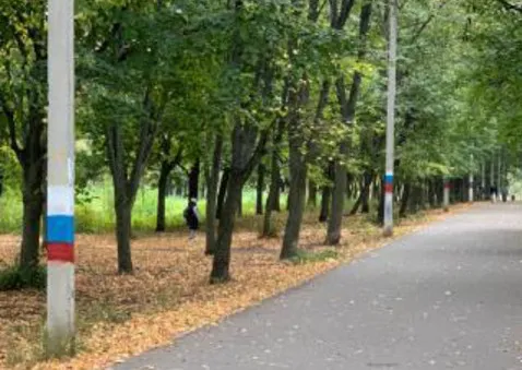 У Києві затримали колаборанта, який малював російські прапори в парку (ФОТО)