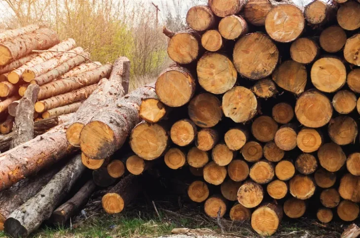 Електронні аукціони. Які переваги продажу кругляка через ліцензовану біржу?