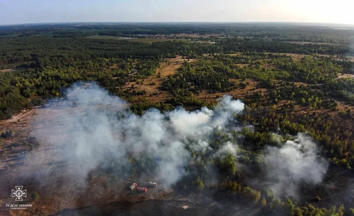 Під Києвом сталася масштабна пожежа у лісі (ФОТО)
