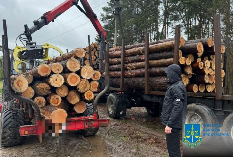 На Київщині посадовець за хабар продав високоякісну деревину по зниженим цінам