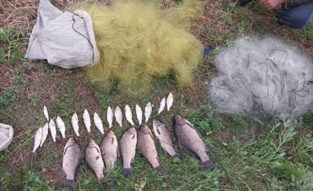 Наловили риби на майже 90 тисяч: у Києві зловили браконьєрів