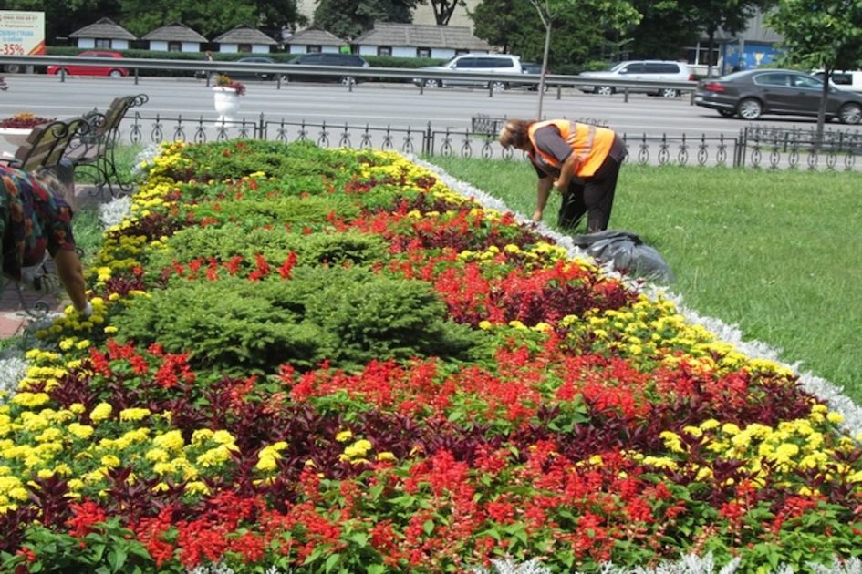 Столичне компідприємство купує літній одяг для працівників: вартість