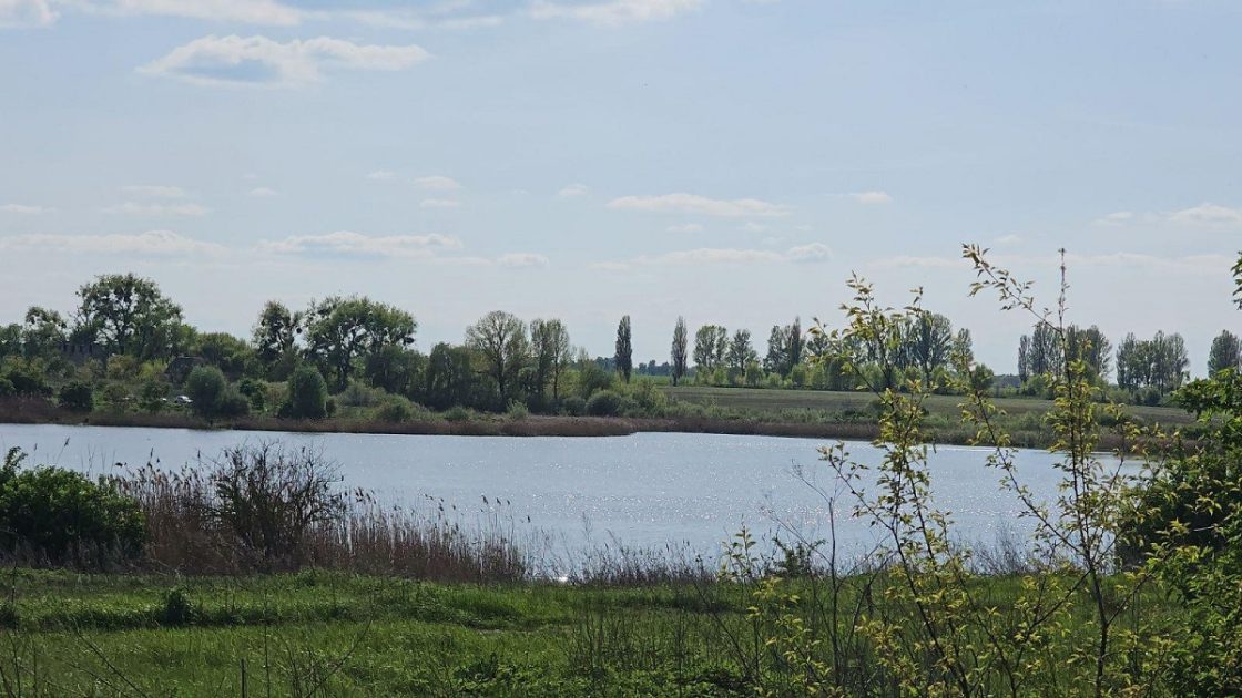 Земельну ділянку на березі річки незаконно передали у приватну власність