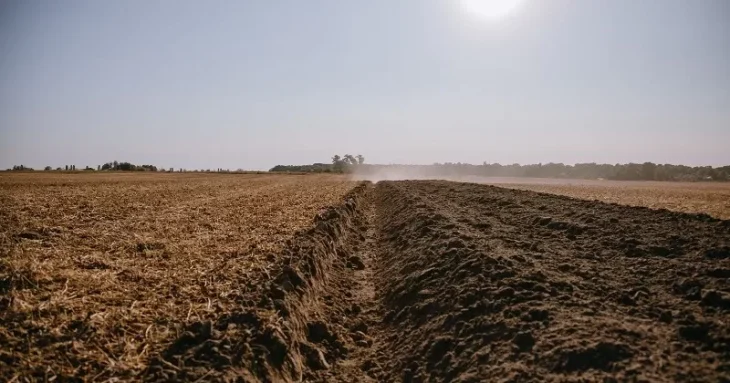 На Харківщині під час польових робіт стався вибух