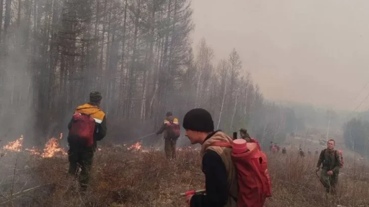 Вогняна стихія в росії: понад 500 тисяч гектарів лісу під загрозою
