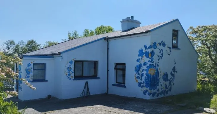 Як ірландці надали прихисток українці: артпростір з елементами петриківського розпису