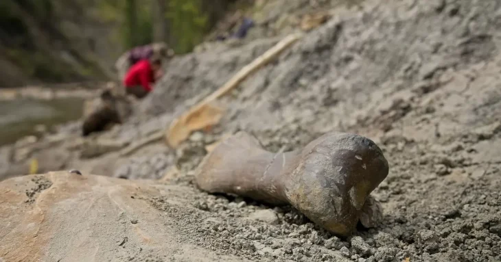 Унікальне поховання динозаврів знайдено у Канаді: Річка Смерті