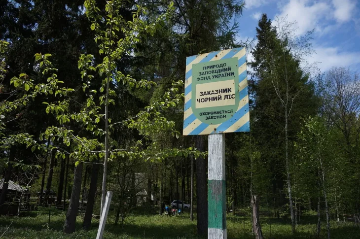 Ексначальника ДСНС Івано-Франківщини підозрюють у незаконній вирубці лісу на понад 7 млн грн