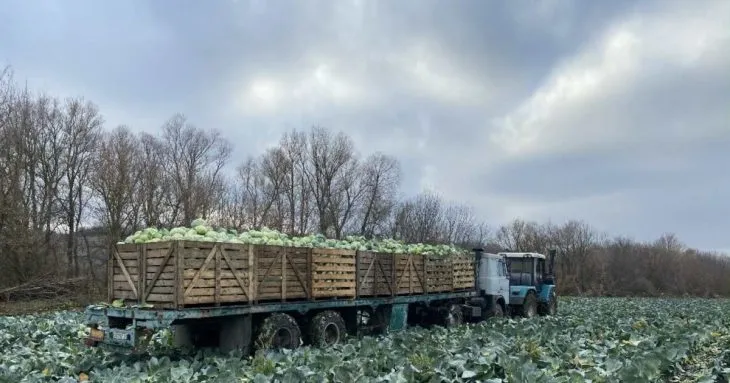 Як переселенці з Харківщини відновлюють овочевий бізнес на Прикарпатті