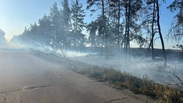 Пожежа сухої трави біля Балаклії: рух у напрямку Савинців ускладнено через дим