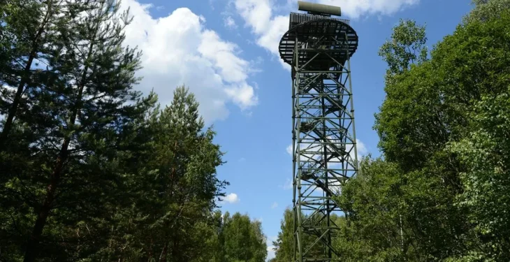 Українські дрони пошкодили РЛС «Сопка-2» у Воронезькій області рф