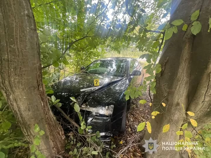 Троє дітей постраждали в ДТП на Львівщині: авто врізалося у дерево