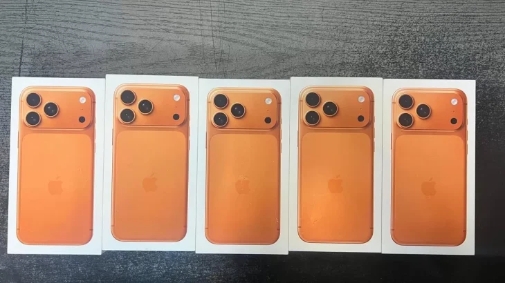 Прикордонники на «Шегинях» зупинили спробу незаконного ввезення iPhone та діамантів