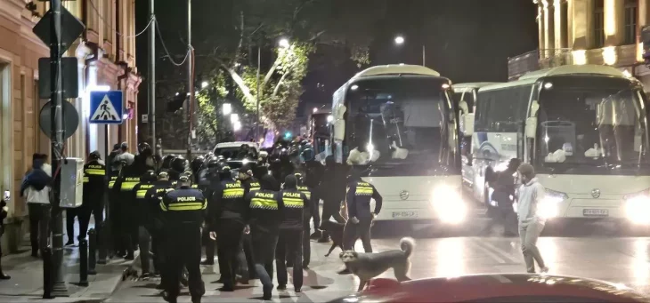 Протести опозиції у Тбілісі: сутички біля президентського палацу та застосування сили поліцією