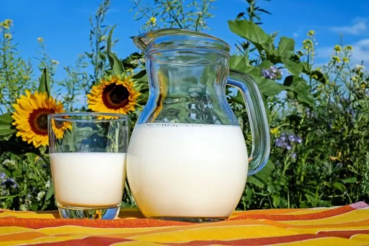 Вартість молочних продуктів в Україні може зрости ще на 4-5% восени