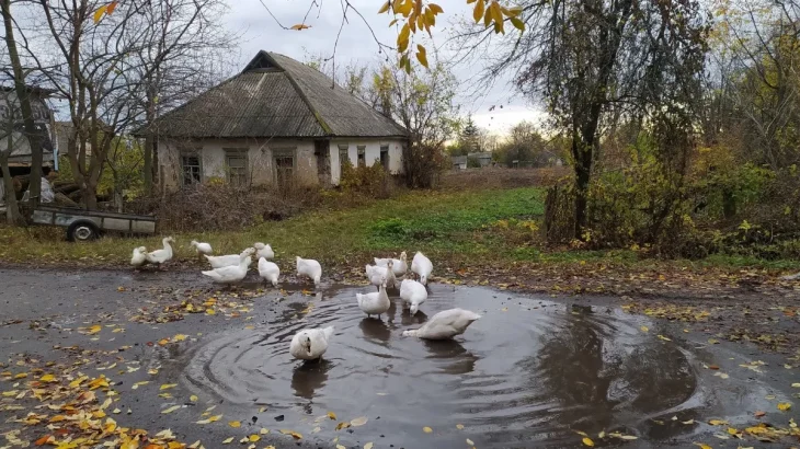 Погода в Україні 3 листопада: дощі на заході, у більшості регіонів без опадів