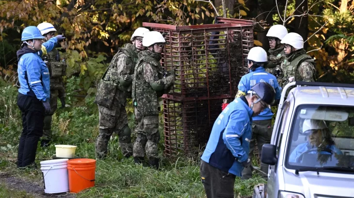 Японія залучає військових для протидії зростанню нападів ведмедів у північних регіонах