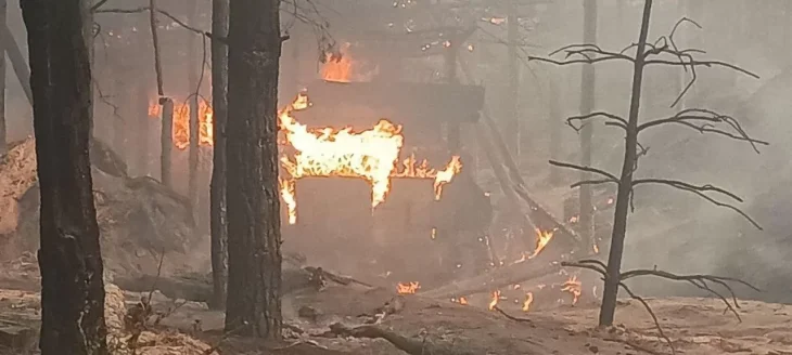 Втрати росії за добу: ЗСУ ліквідували 1170 окупантів та знищили 15 артсистем