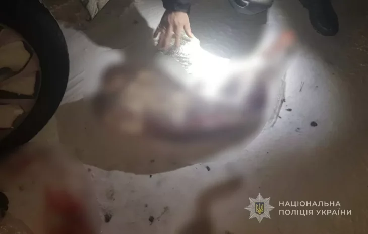 На Волині чоловік спробував дати хабар поліцейським за незаконне полювання