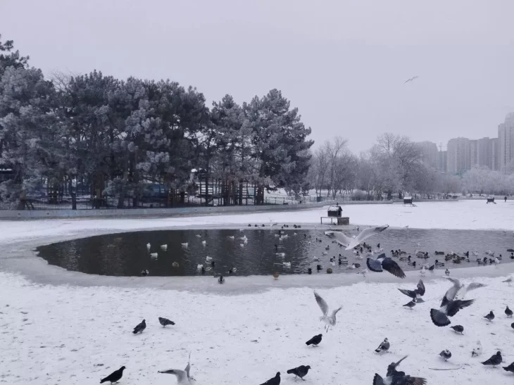 Морози до −27° та без опадів: прогноз погоди на 3 лютого