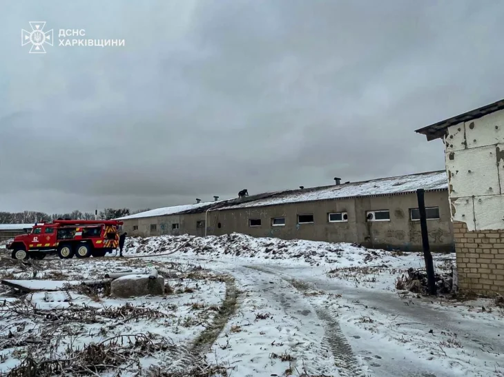 Окупанти атакували дроном свиноферму на Харківщині: загинуло близько 100 свиней