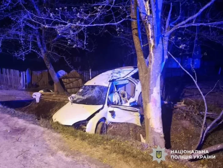 На Житомирщині п’яний водій врізався в дерево — загинула дитина