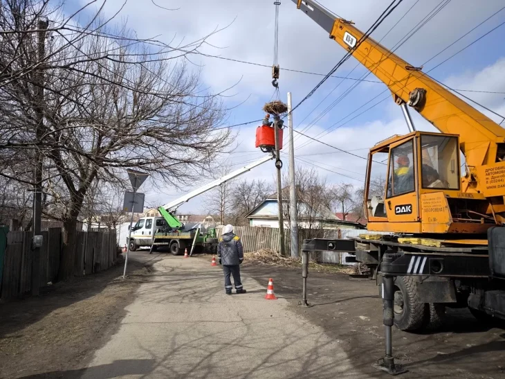 Енергетики встановили 20 гнізд для лелек на електроопорах Києва
