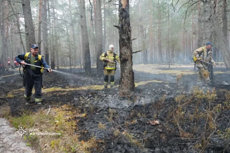 У Поліському заповіднику не фіксують поширення вогню