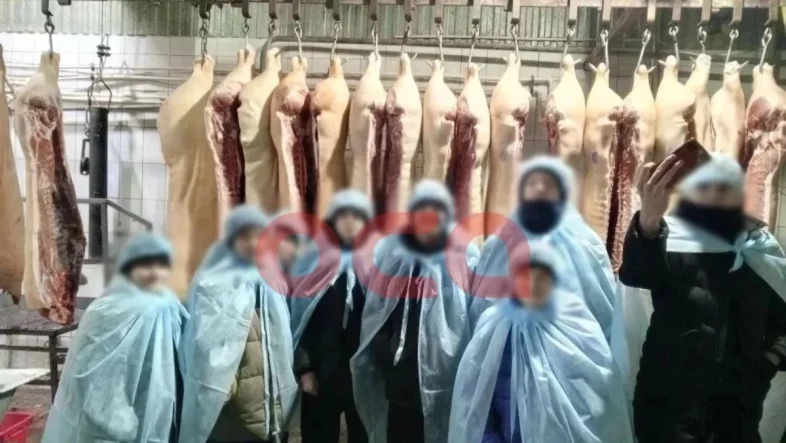 Учнів Ачинського округу повезли на забійний цех: батьки шоковані