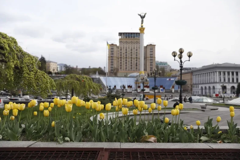 Заморозки в Україні: вночі 2 травня до −3 °C