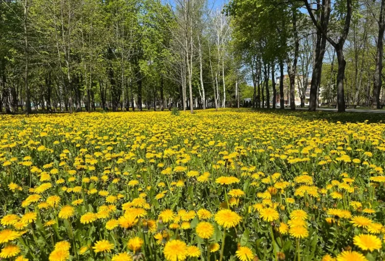 В Україні до +27: де можливі локальні дощі