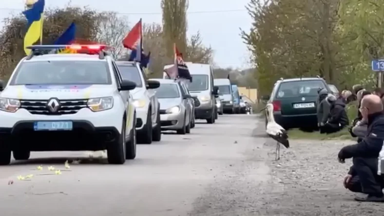 У Волині під час прощання з полеглим бійцем прилетів лелека